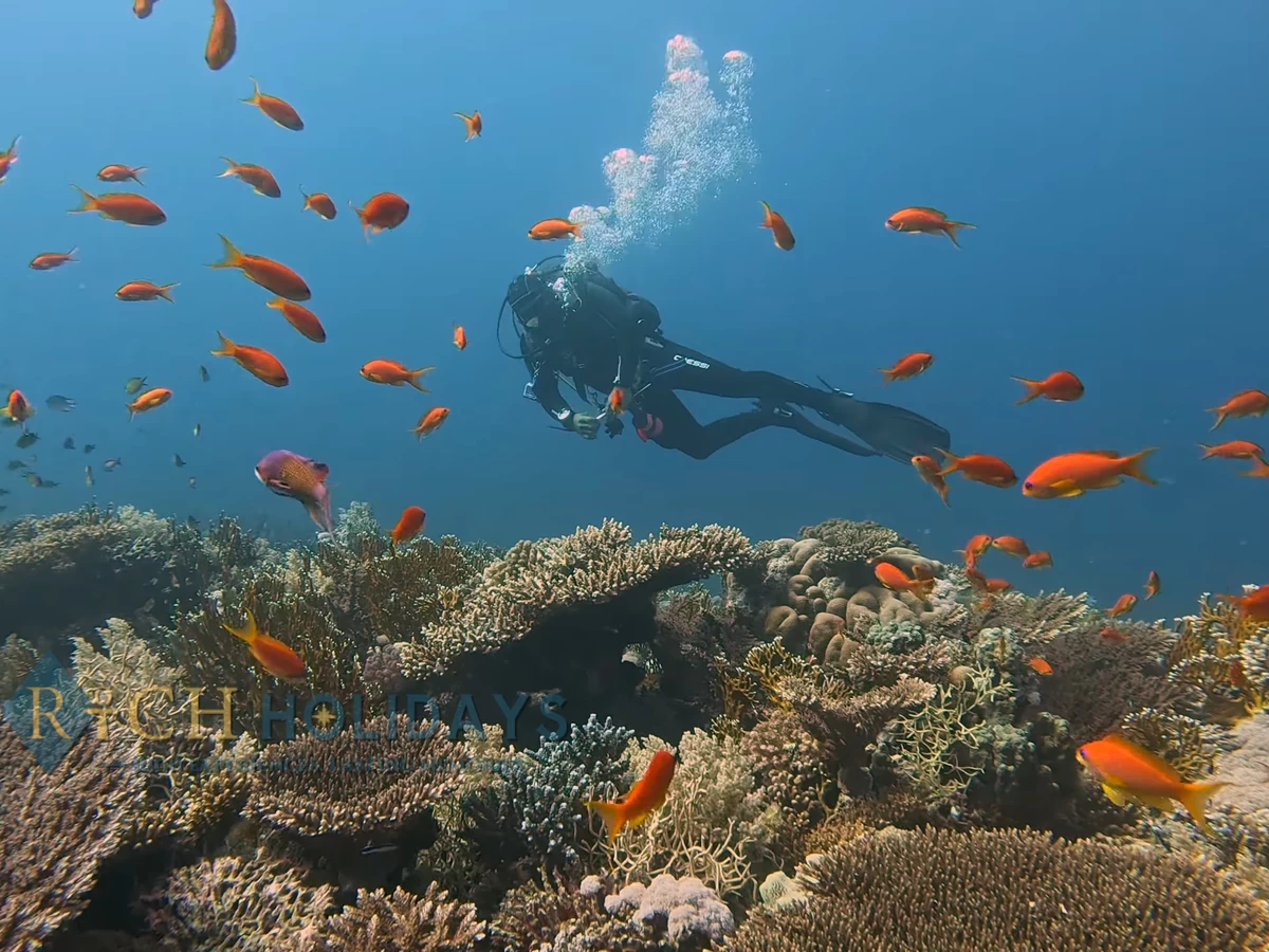 Hurghada Day Tours